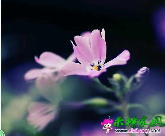 QQ截图20141022162623.webp