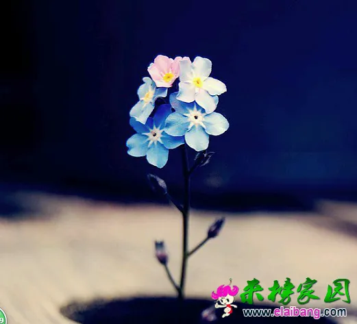 QQ截图20141022162455.webp