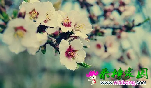 QQ截图20141022162508.webp