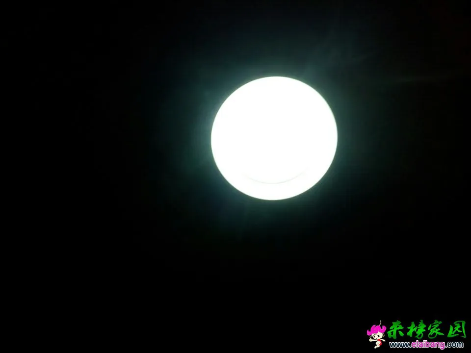 QQ图片20141023192723.webp