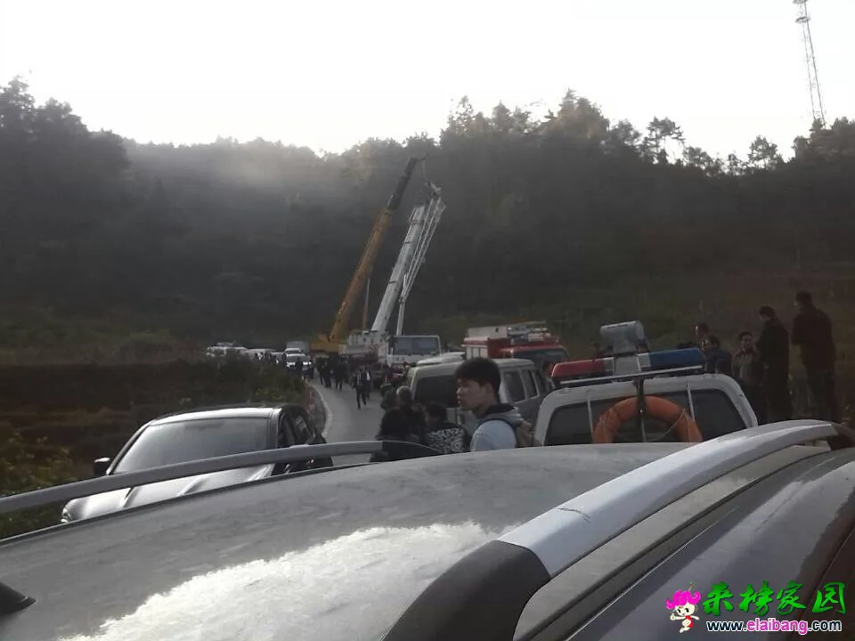 QQ图片20141026093926.webp