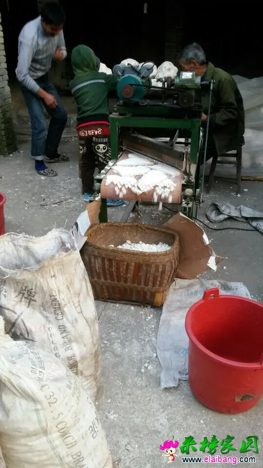 QQ图片2014102611112522.webp