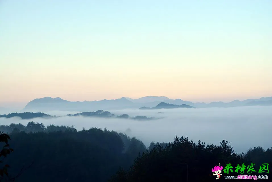 psb (21).webp