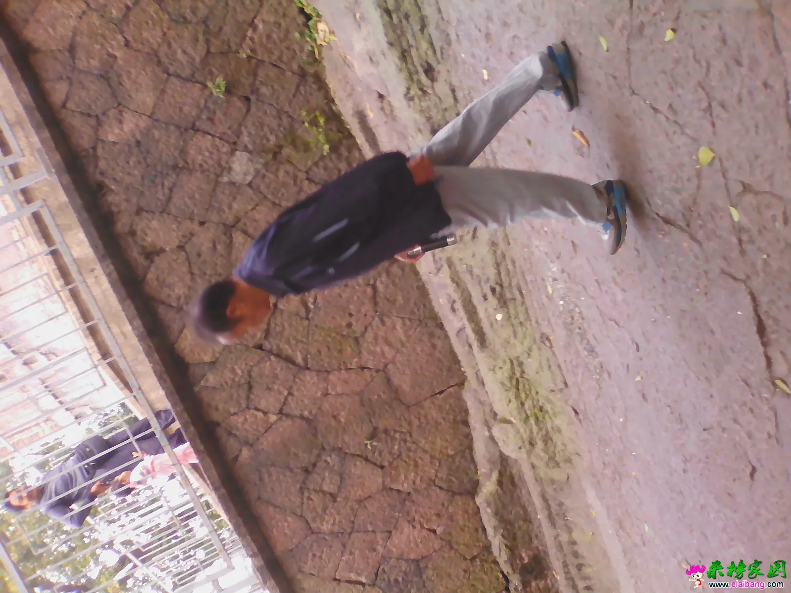 IMG_20141027_094439.webp