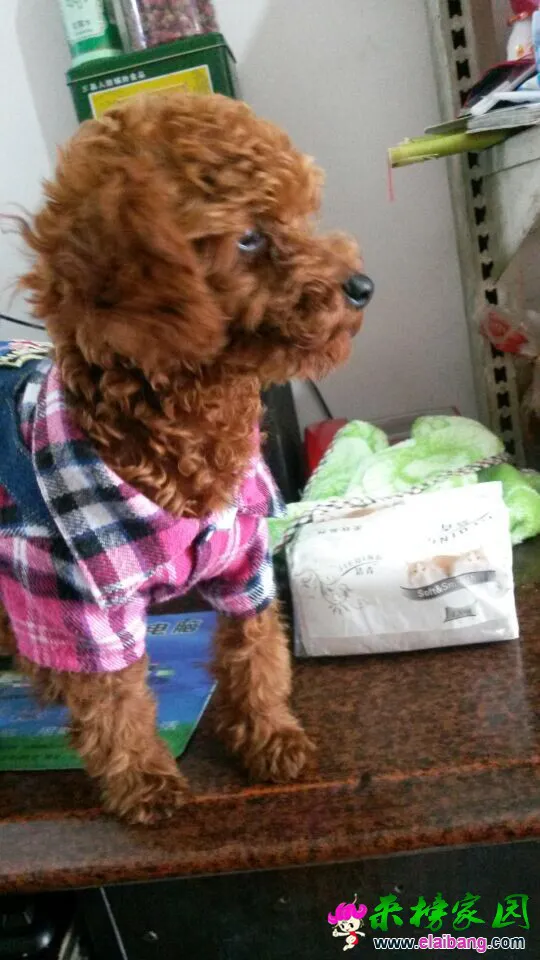 QQ图片201410311604091.webp