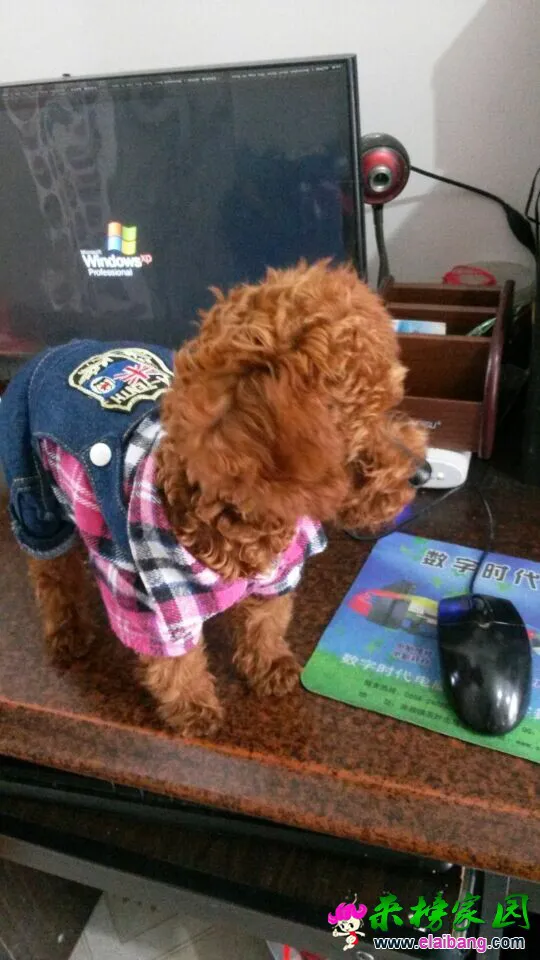 QQ图片201410311604192.webp
