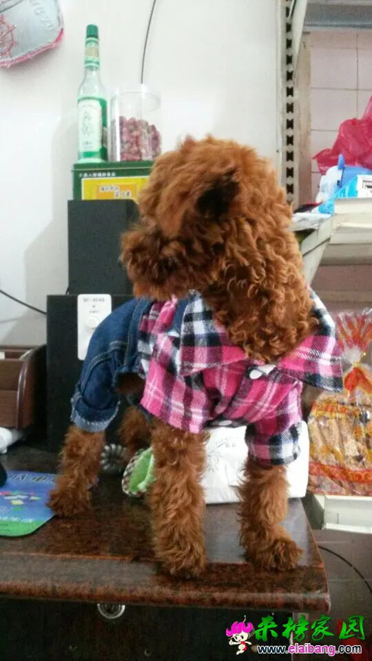 QQ图片201410311604263.webp