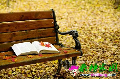 202648hvgg298zv5umqzbe.webp