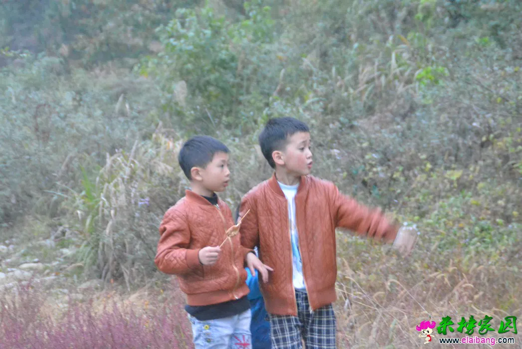 DSC_0138.webp