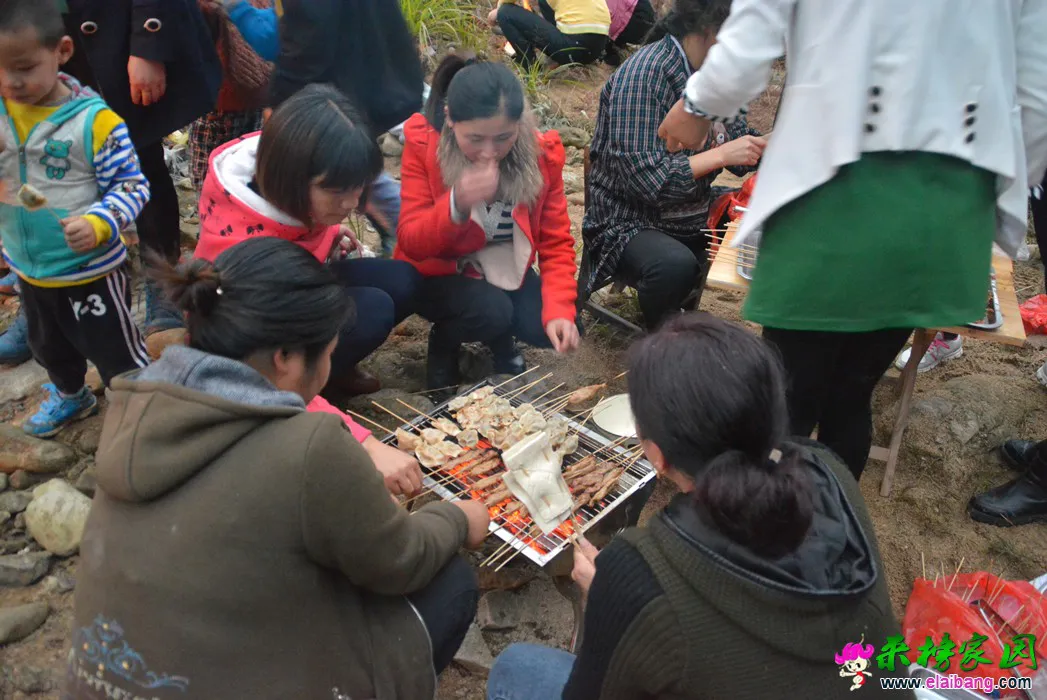DSC_0144.webp