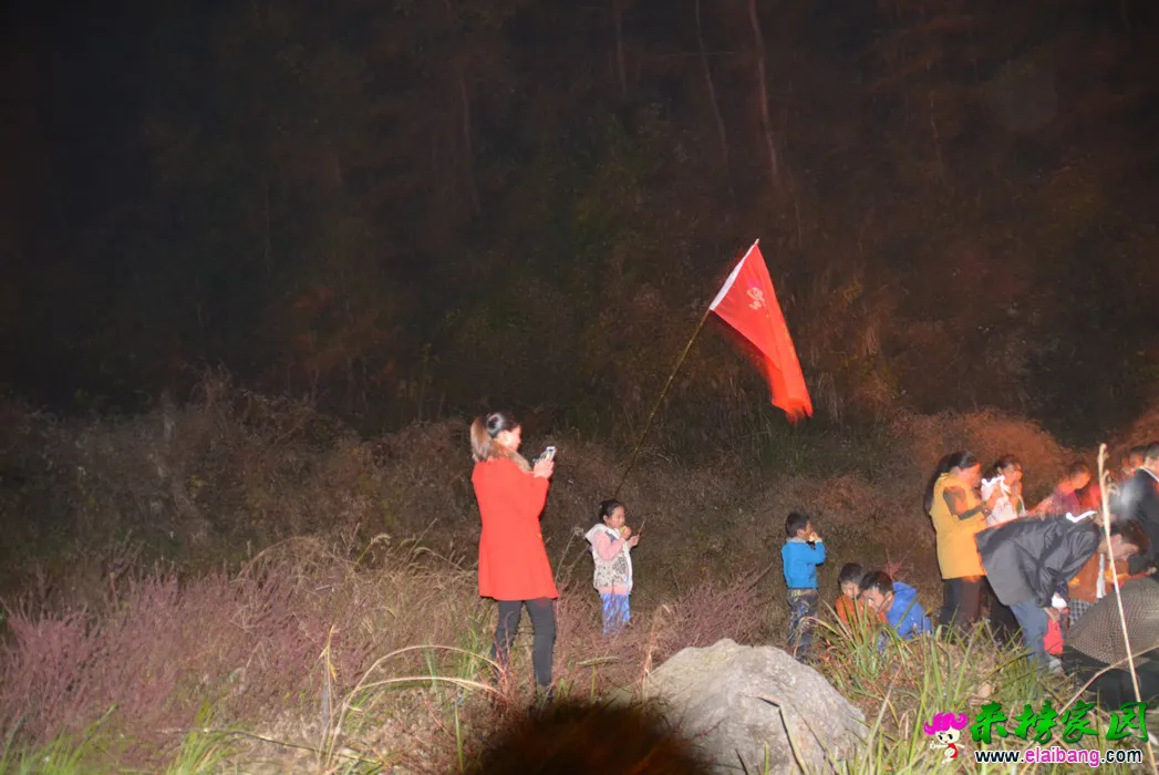 DSC_0198.webp