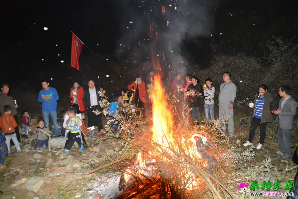 DSC_0219.webp