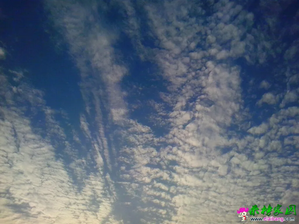 164433hfrz9mx78gw80776.webp