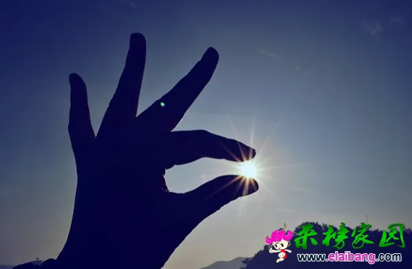 QQ截图20141104134047.webp