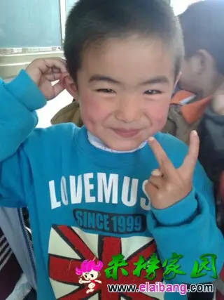 151521a60r233b6kk3zbgs.webp