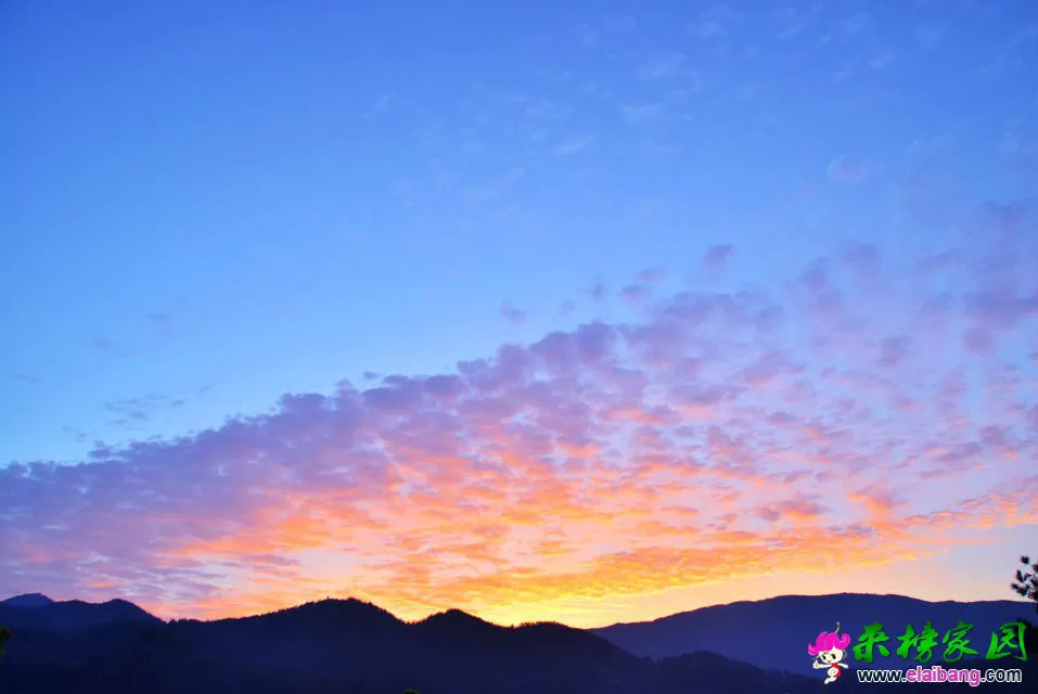 psb (31).webp