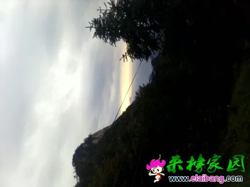 104235vgtz74evuuvjps2j.webp