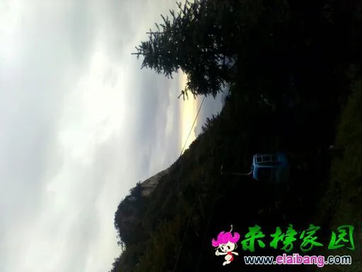104237jb23220ntjauuwzi.webp