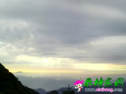 104239ot20z87xiv2xf636.webp