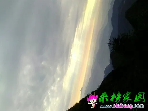 104242xcjyg4zeiedija8d.webp