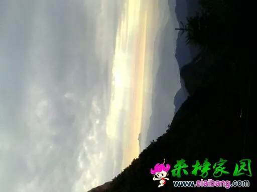 104245bdincxz3cc0i5dp9.webp
