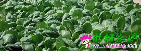 QQ截图20141111164437.webp