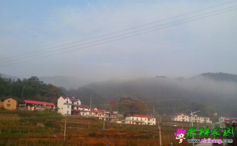 QQ截图20141112090607.png