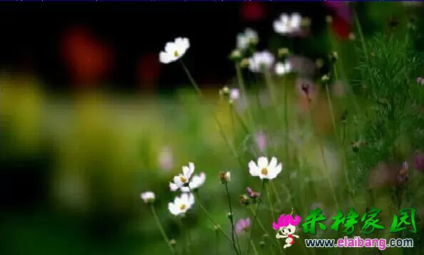 210649q4s8ssu6eseyueee.webp