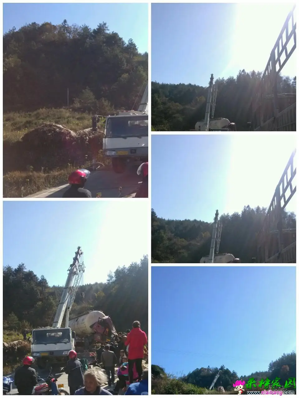 371267096网友提供