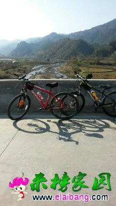 134905dgrgagl58gp3q6qa.webp