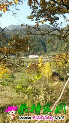 143520xdtiiqiyz92yy65o.webp