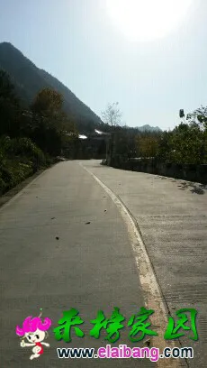 143530x8118gh1q3cghq33.webp