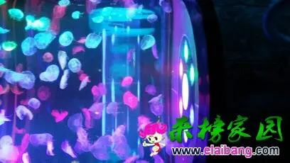 094424g7drvmjd0dqx47xd.webp