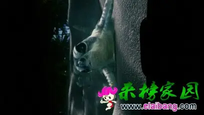 094434m1acfc61hkkrq6rf.webp