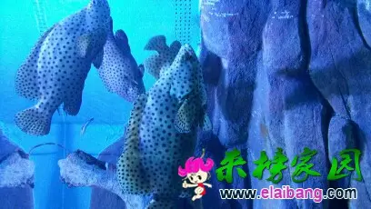 094436b2wxlkx7pzthpm7t.webp