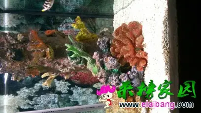 094438p6z7m6ympevnlvm0.webp