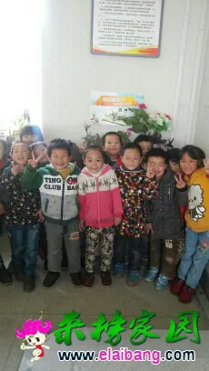 124925sjwisdh9dsc4bz7s.webp