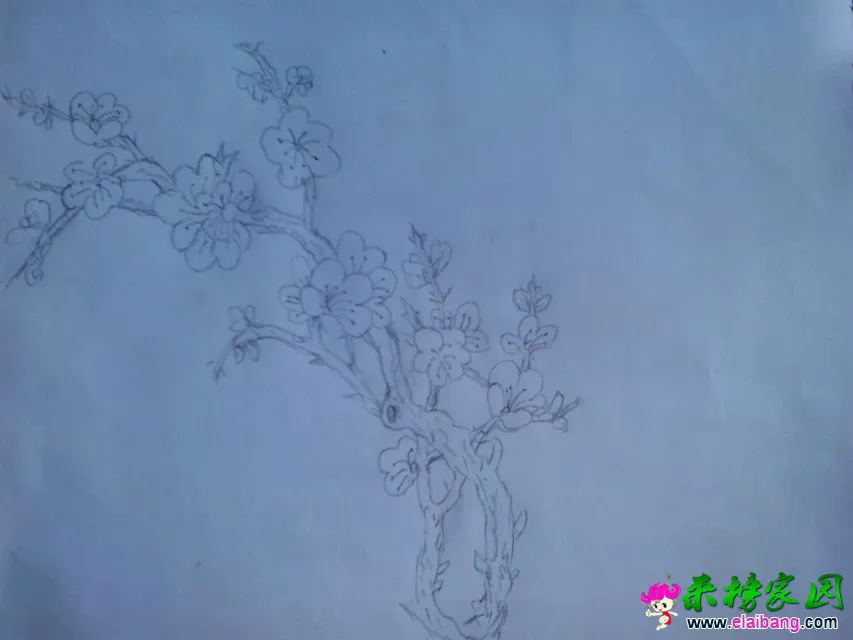 psb (4).webp