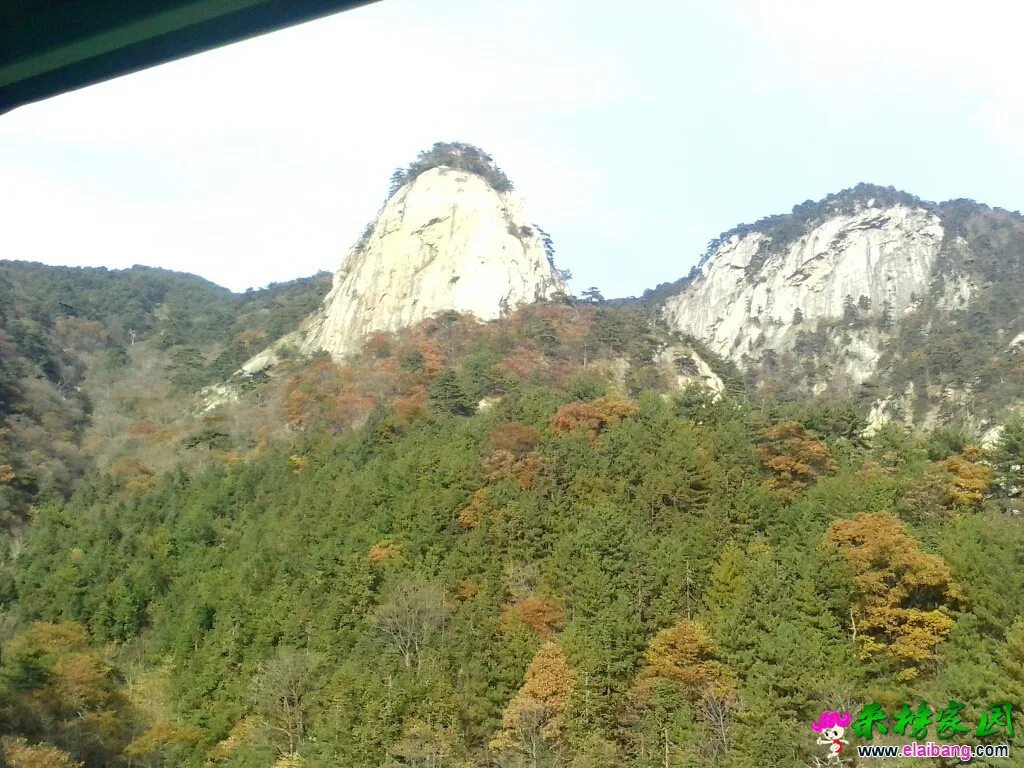 195238gcqcpzz6ir6sgssr.webp