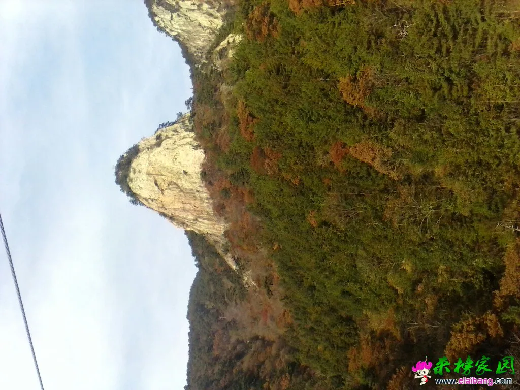 195246nkhhqh3h77qkahik.webp