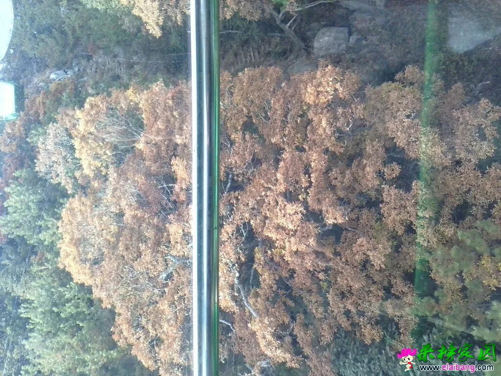 195308ycropgylz84r9b13.webp
