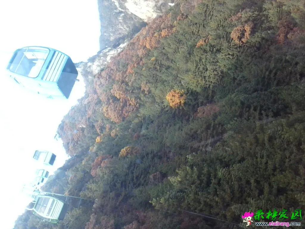 072515dhtrrrhrkrbqbj8j.webp