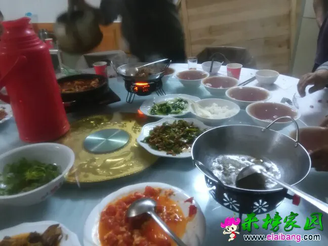 191310hgag6pvbvgtiwvba.webp