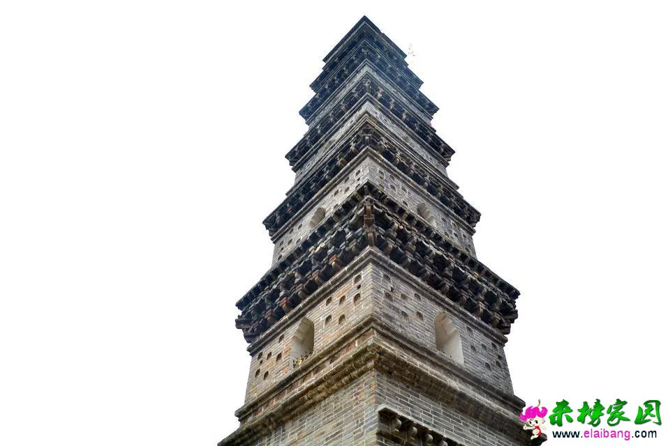 psb (56).webp