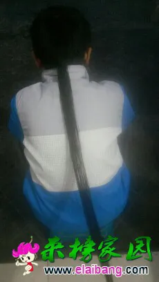 173852m7n3r18u1qvqfvu4.webp