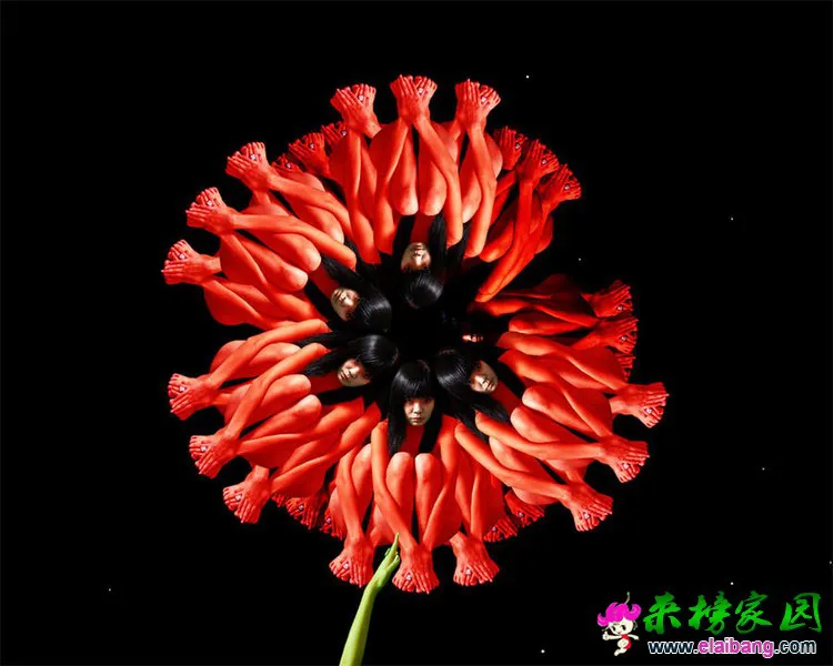 0 (7).webp