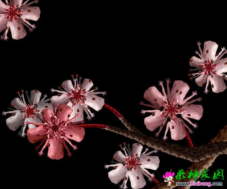 0 (10).webp