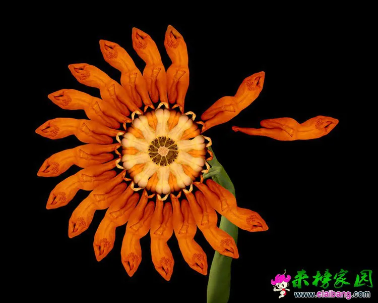 0 (11).webp