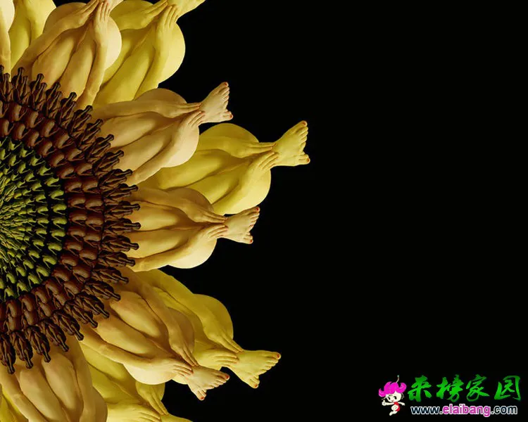 0 (12).webp