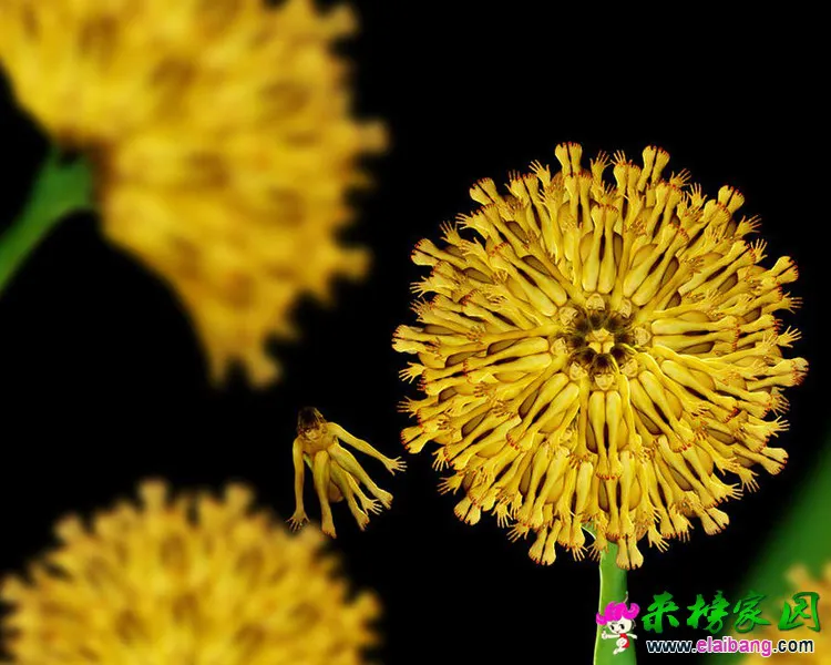 0 (15).webp